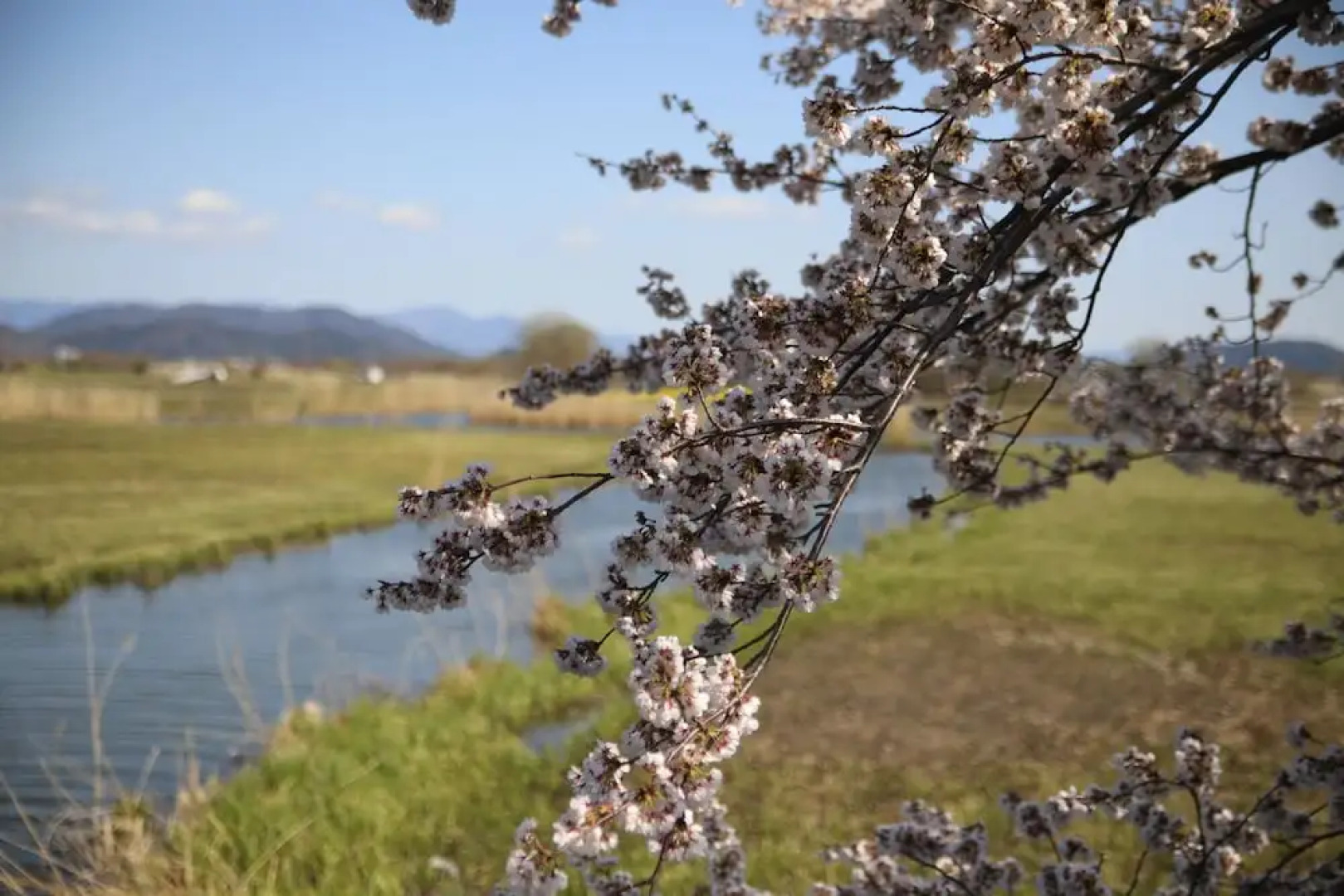 Stay Omihachiman Ekimae Inn