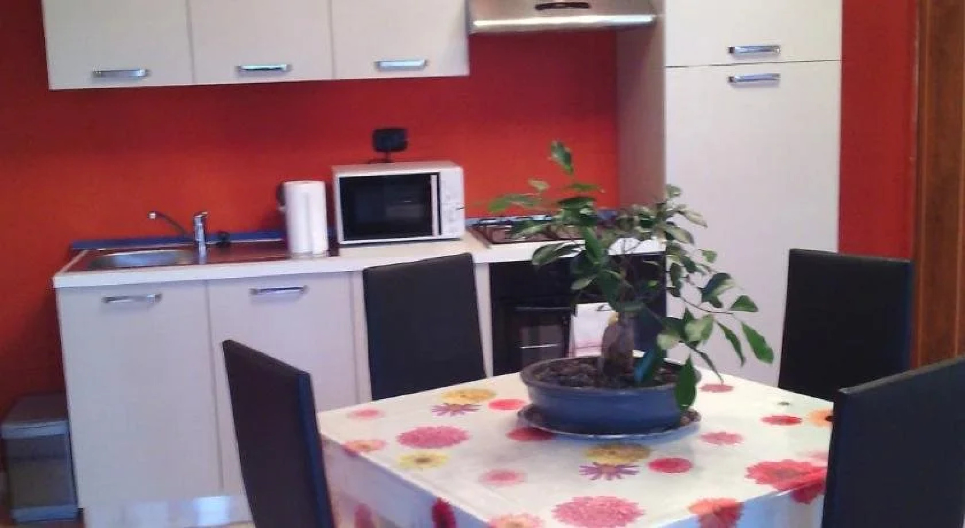 L'Erba degli Abrighi