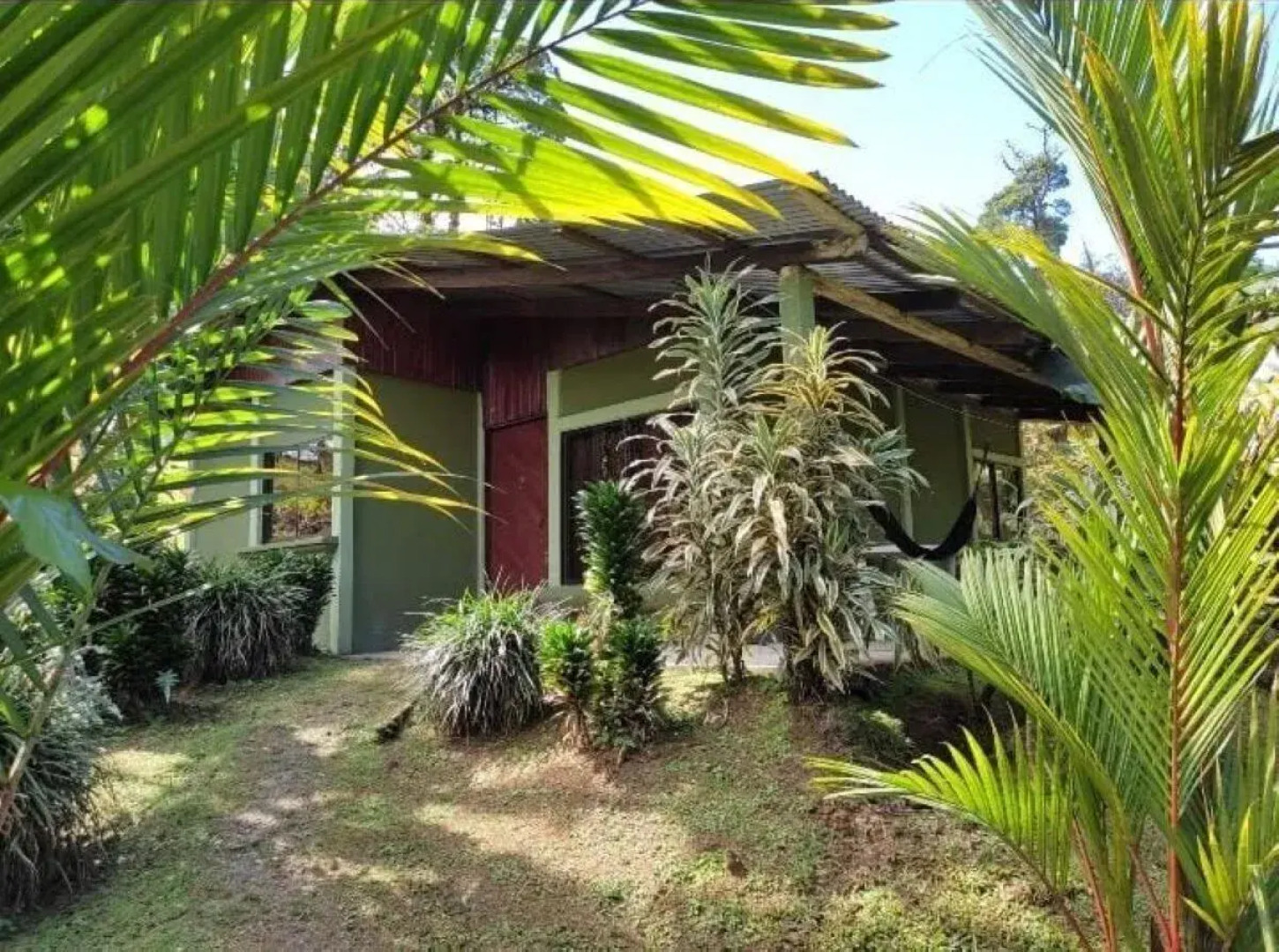 Rio Celeste Nature View