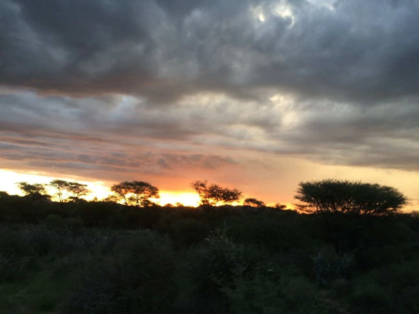 Roidina Safari Lodge