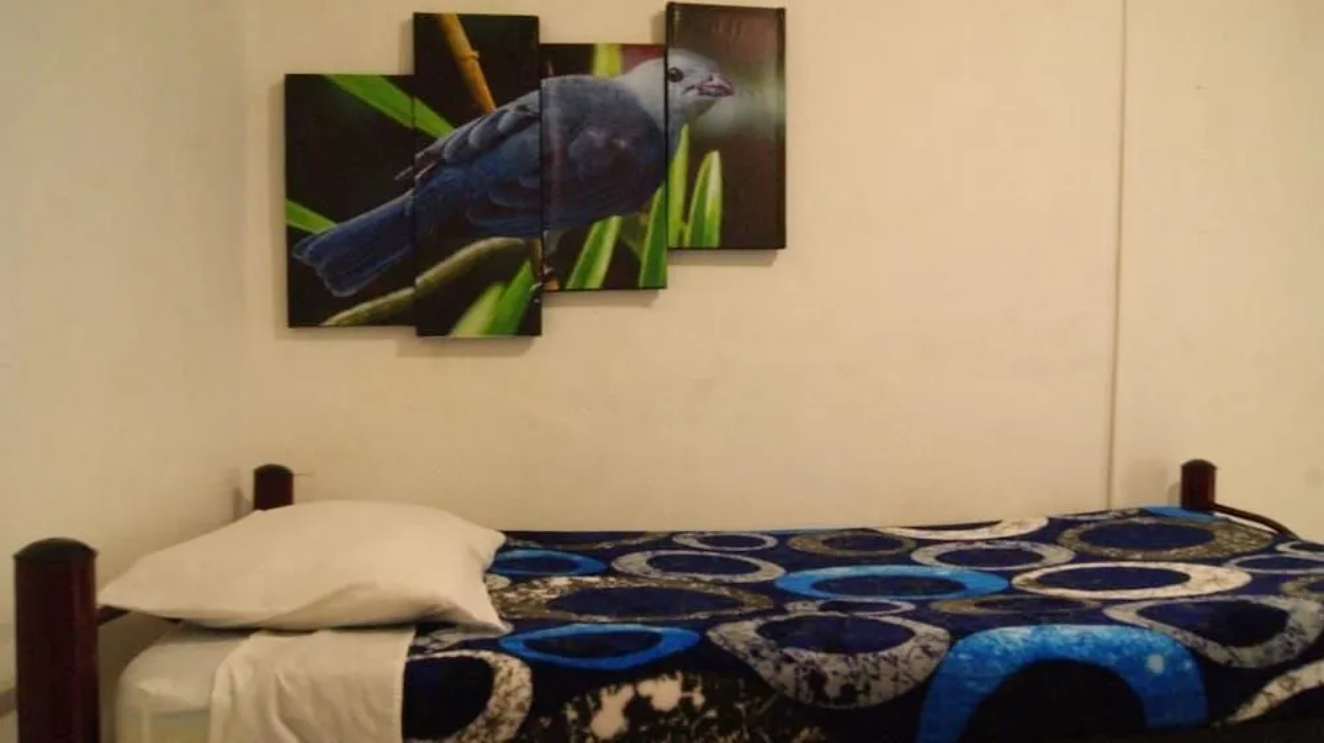 Hostal Casa del Loro - Hostel