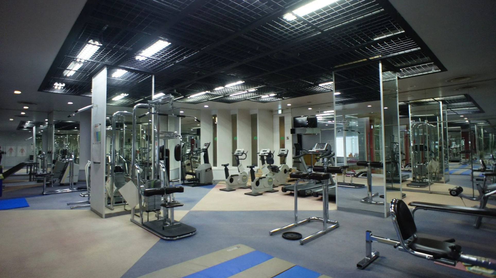 Wisterian Life Club Verde no Mori