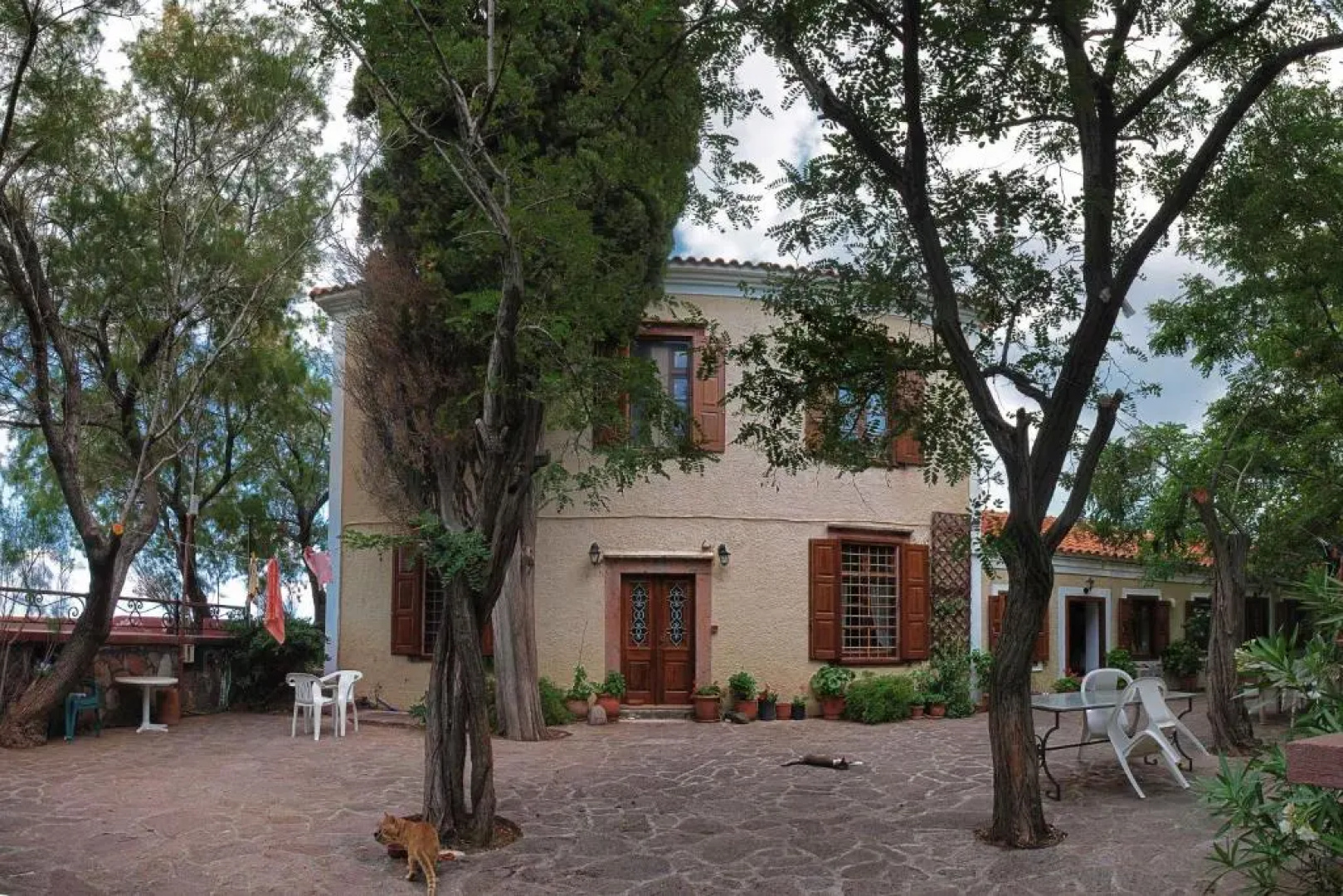 Olive Grove