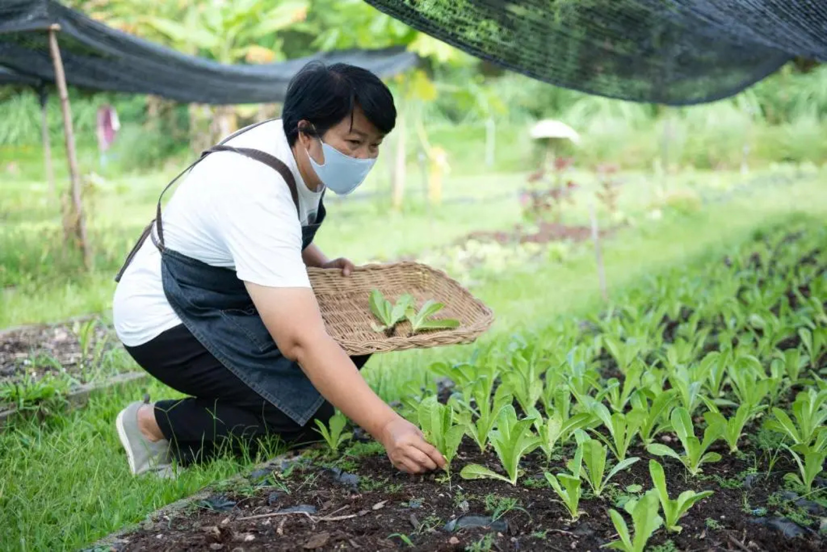 The Legacy River Kwai Resort