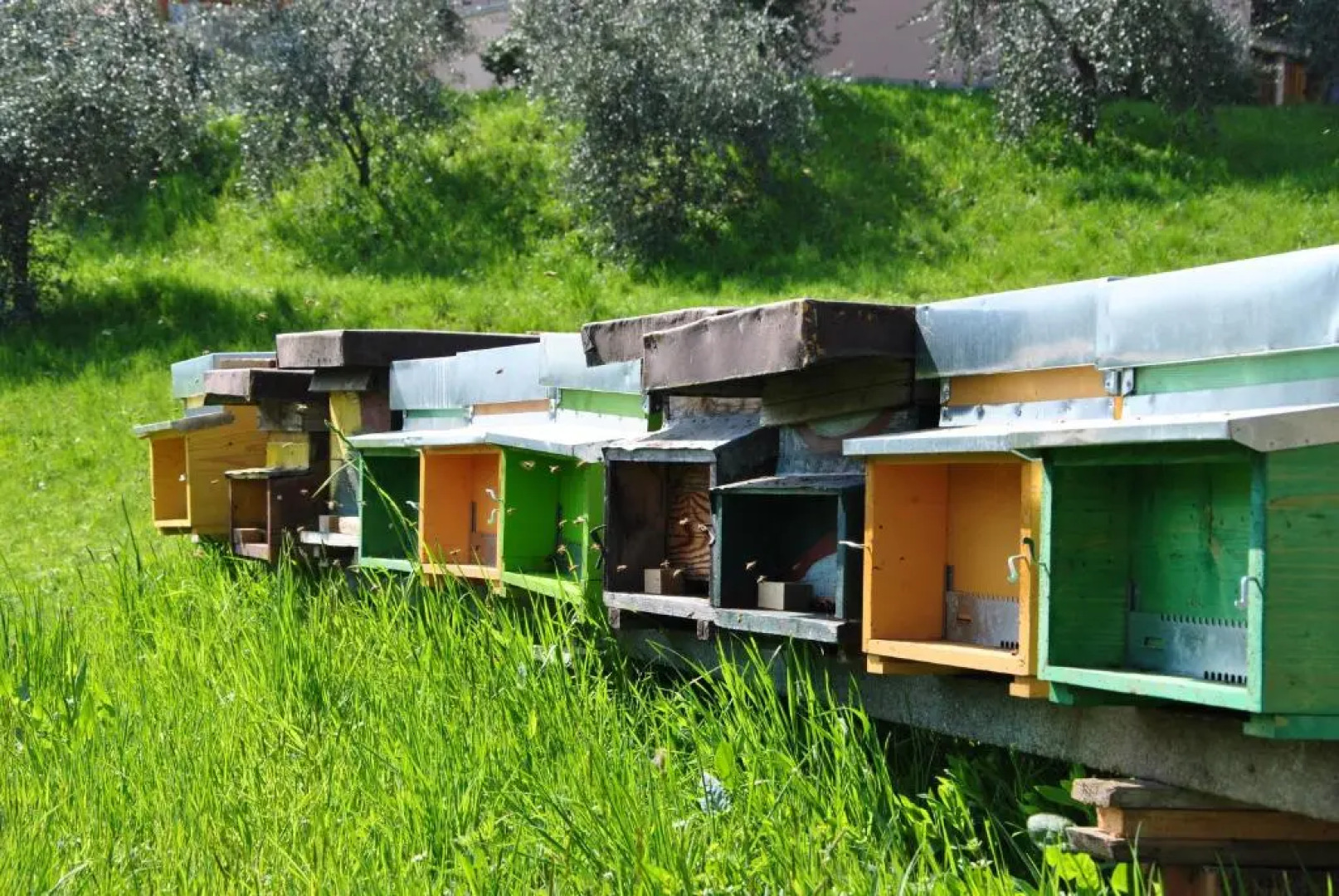 Appartamenti Il Medeghino