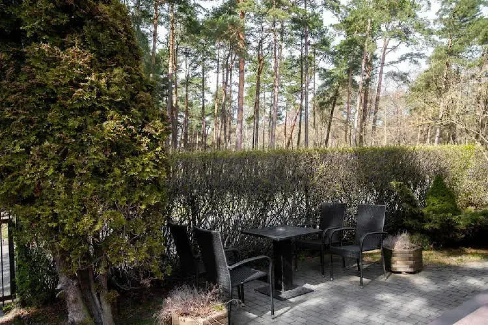 Apartamentai Naglis