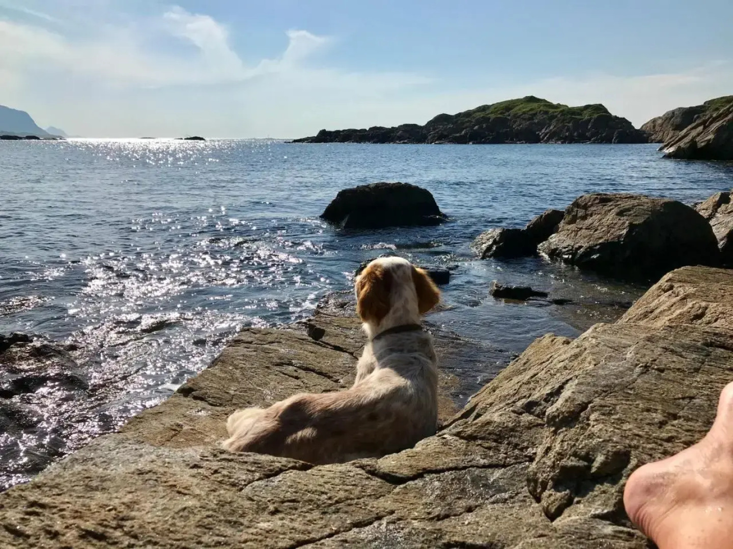 Nyksund Apartments Marihaugen