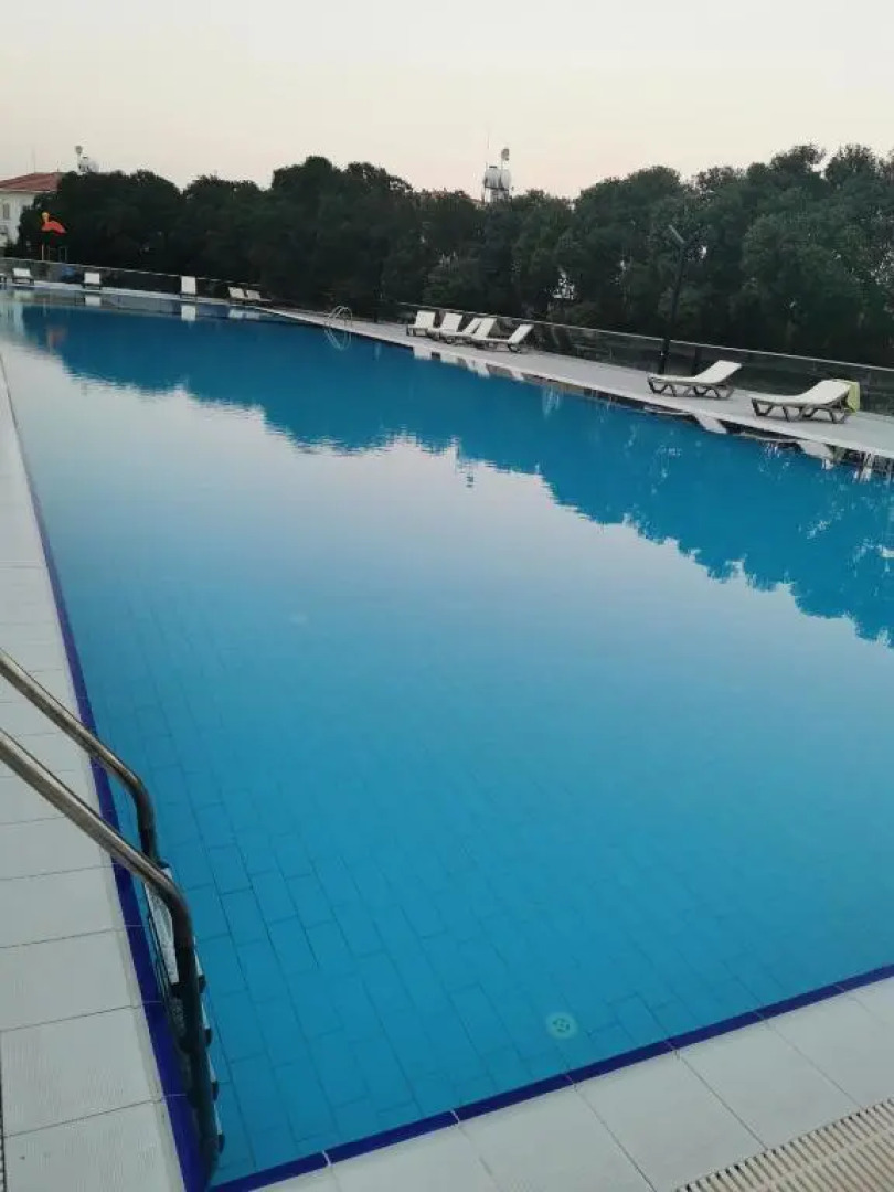 Erika Apartment with Sea View