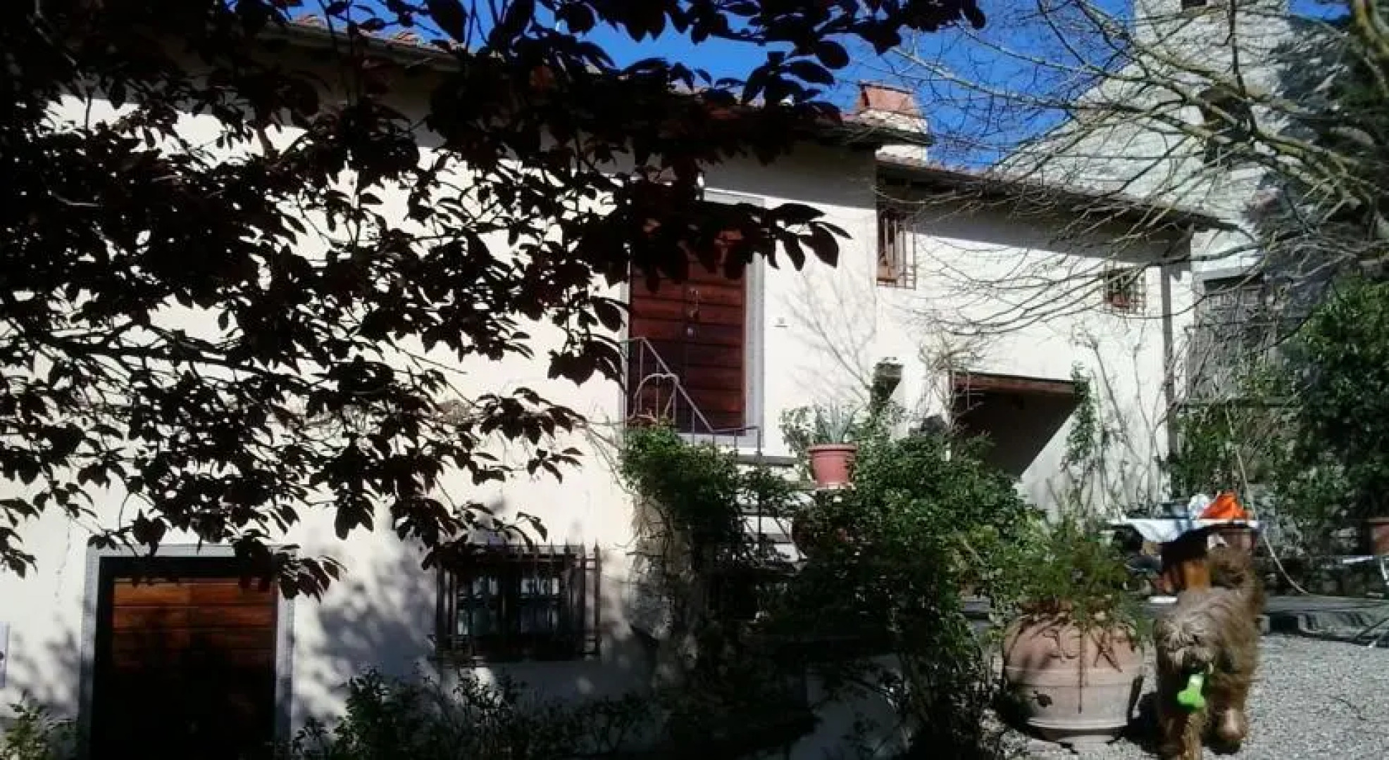 Colonica Rustica