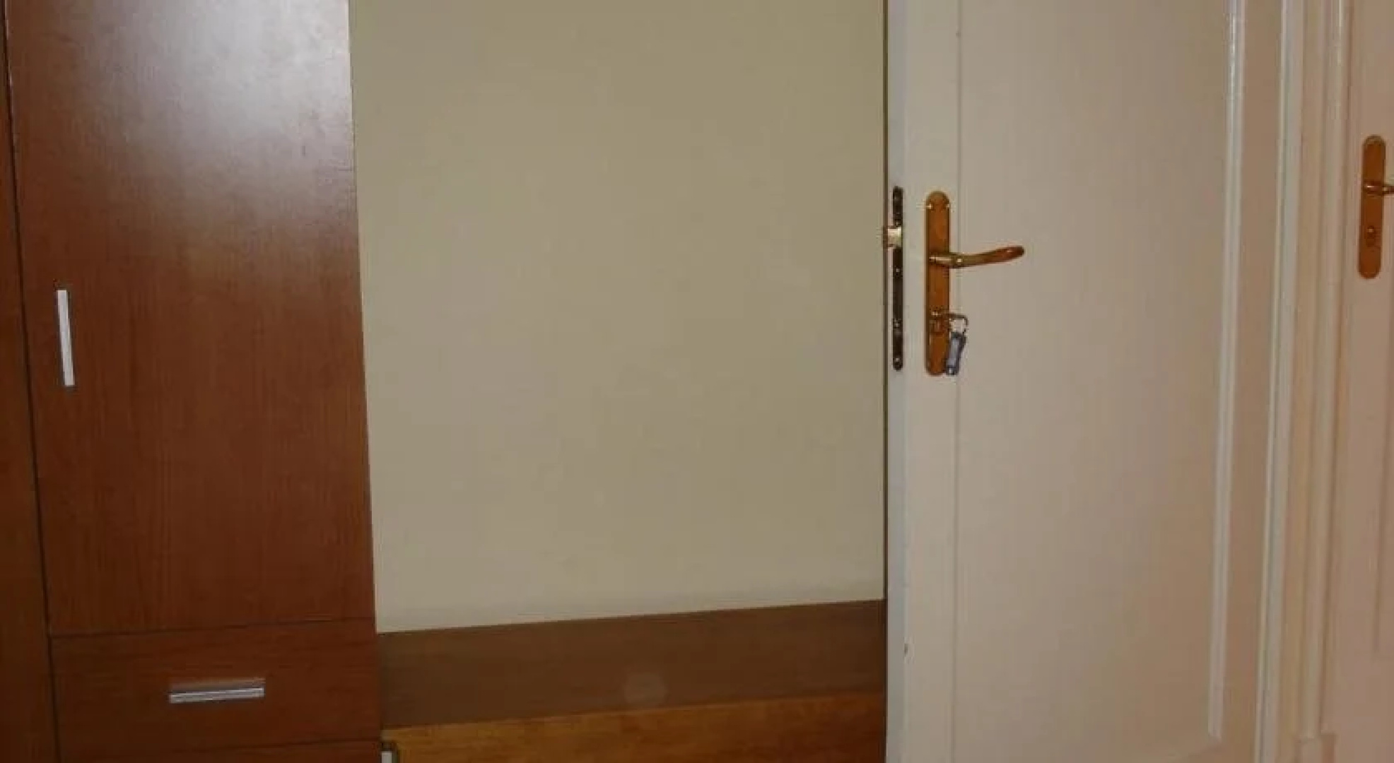Pio V