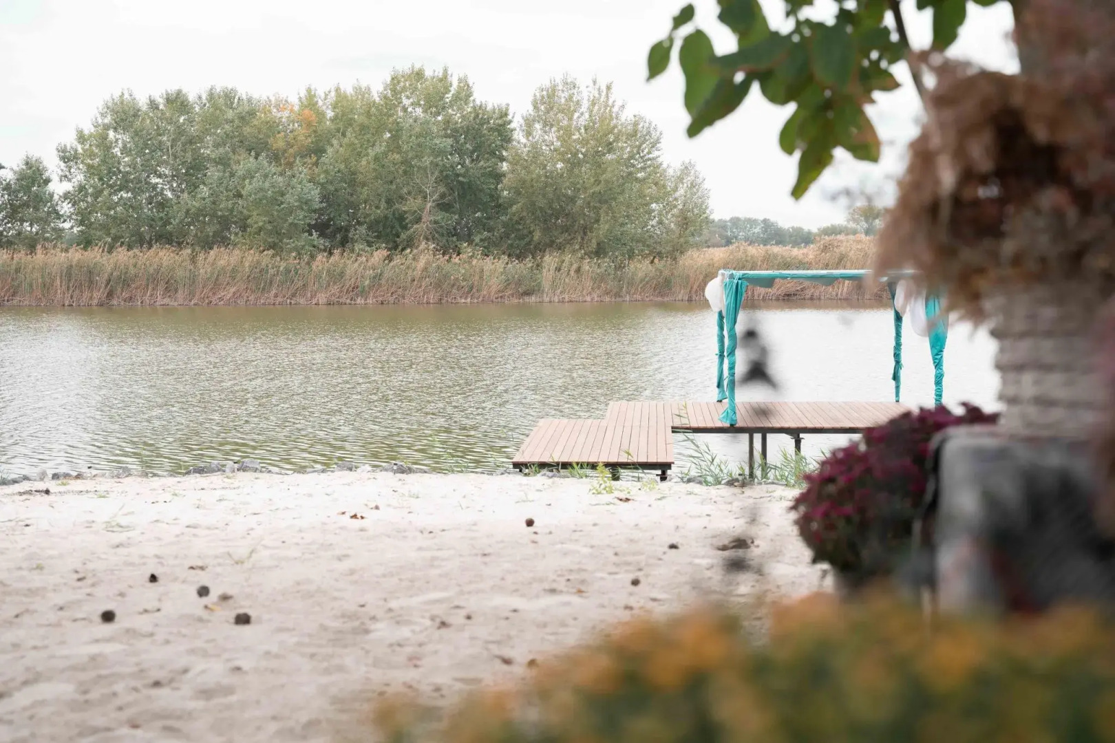 Elephant Home (Элефант Хоум)