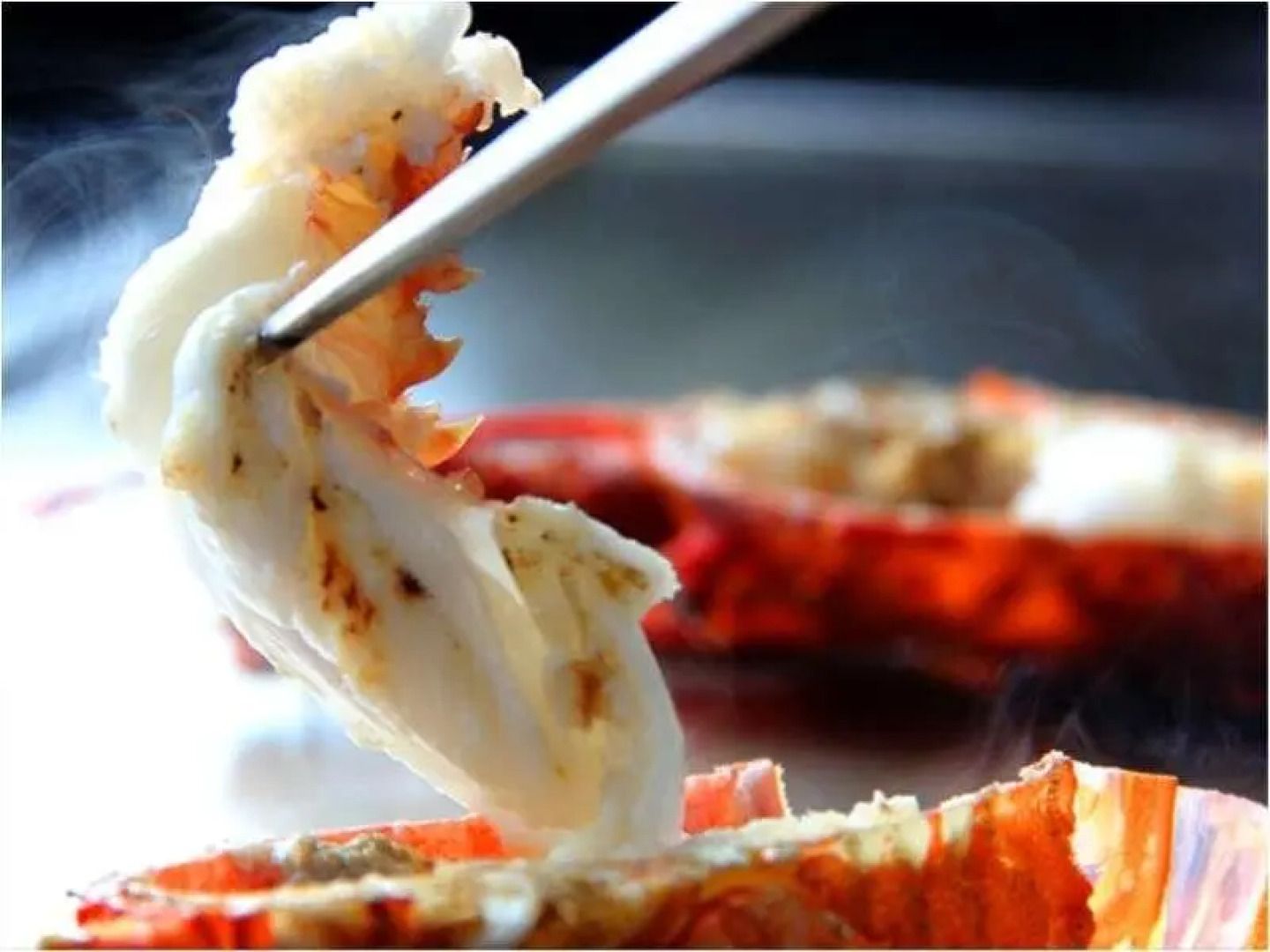 shunkeiroman ginpaso