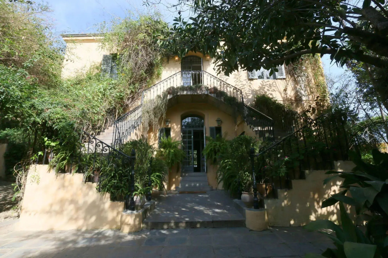 Mimi Calpe