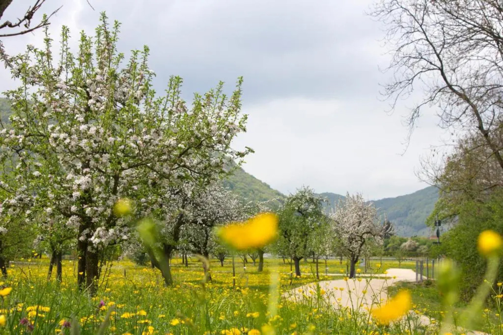 Gasthof Restaurant Hirsch