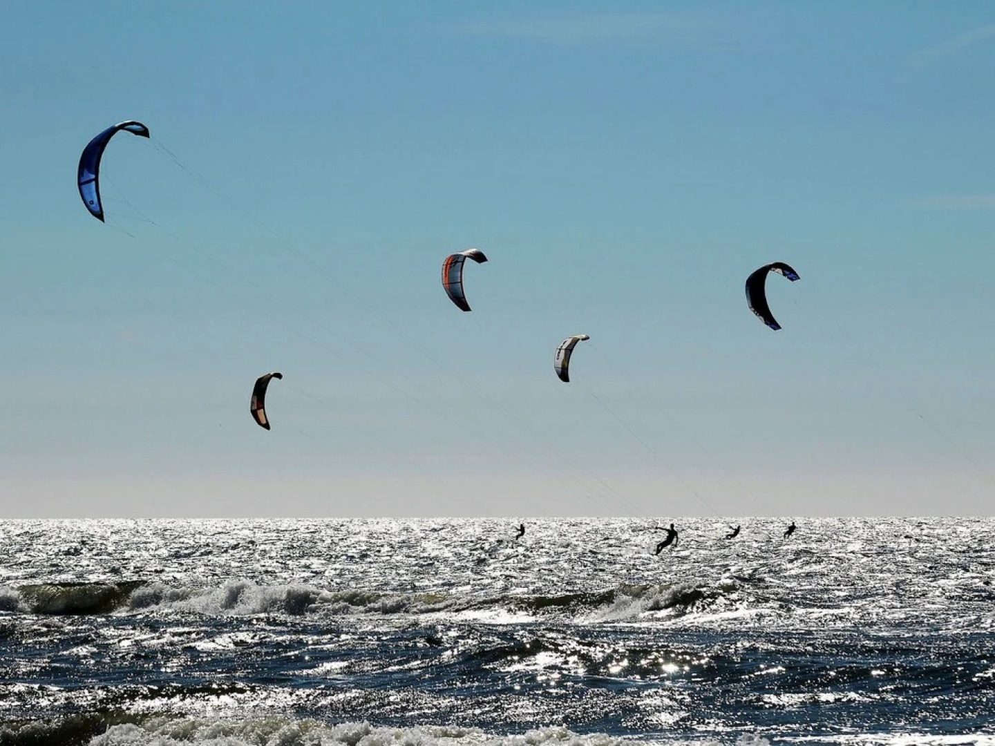 Beautiful new Villa With Sauna Surrounded by Dune Reserve Near the sea