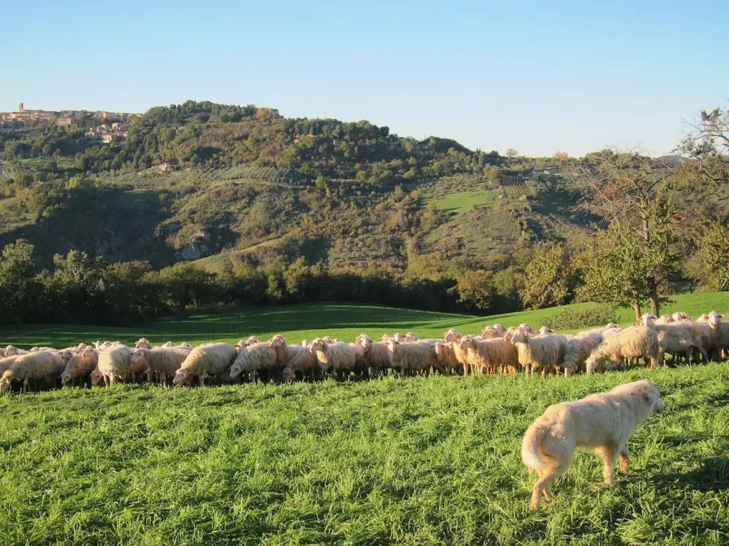 Agriturismo Podere Paugnano