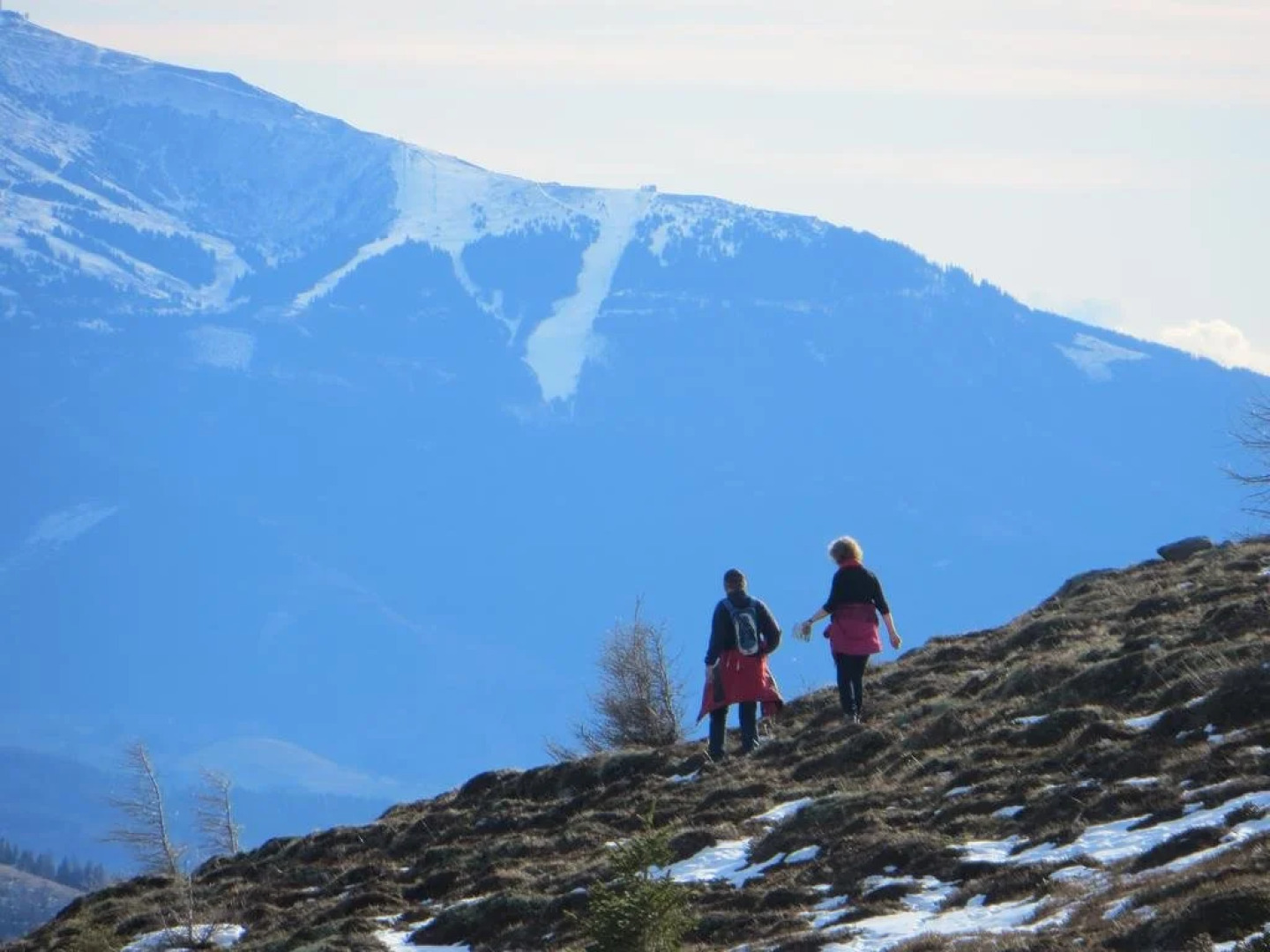 Gästepension Edeltraud