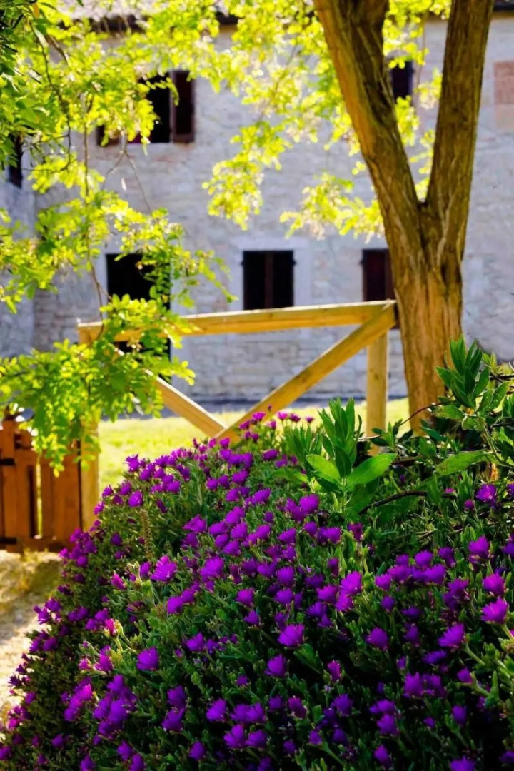 Castello di Titignano