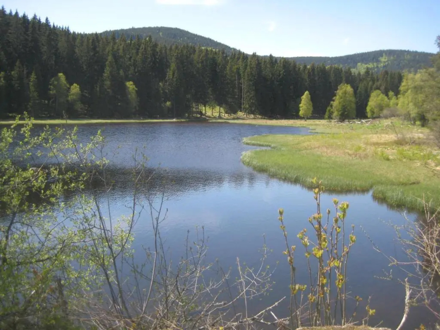Apartment Eisenhauer in Schluchsee