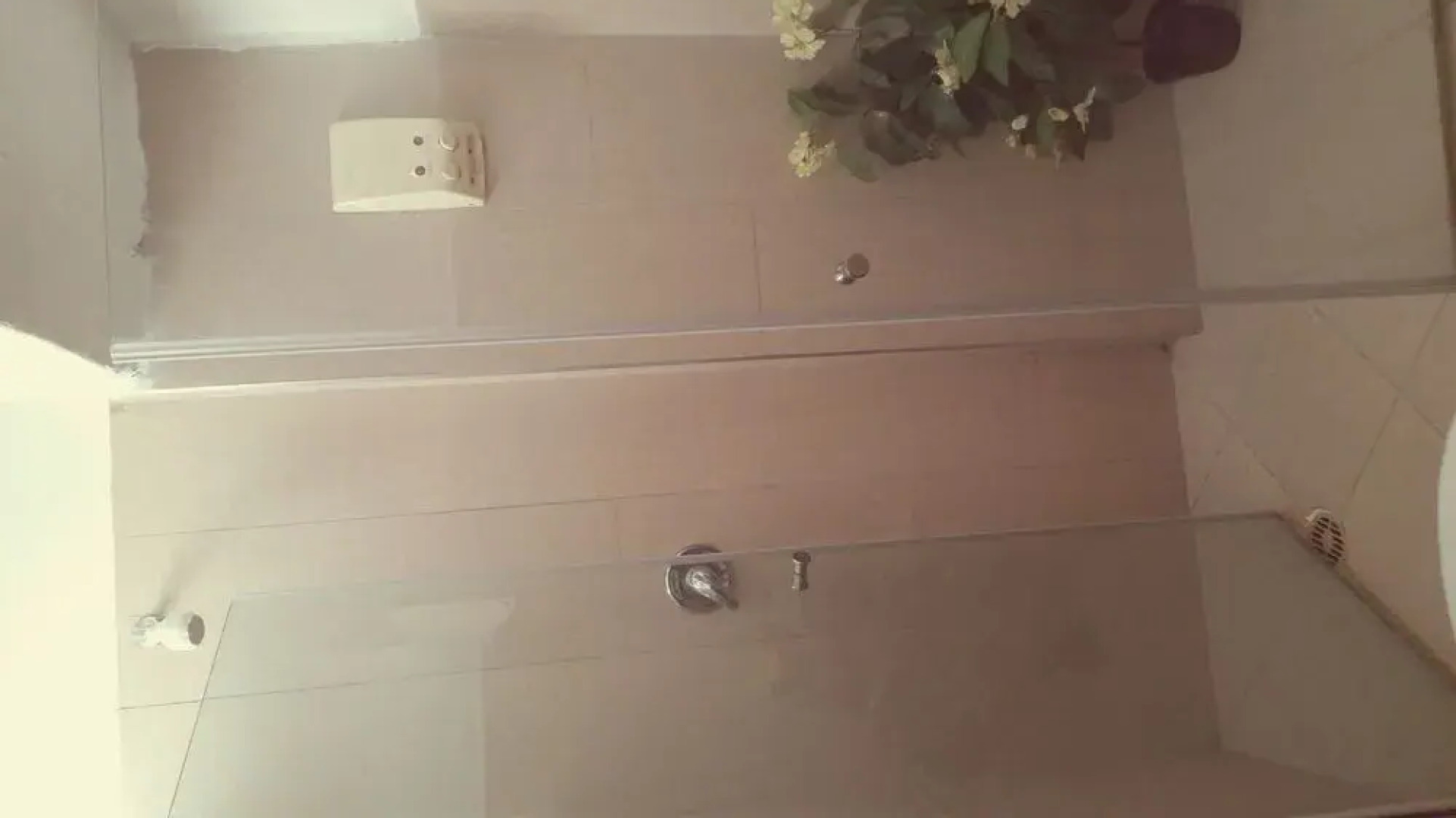 Zimmer Dora Dead Sea