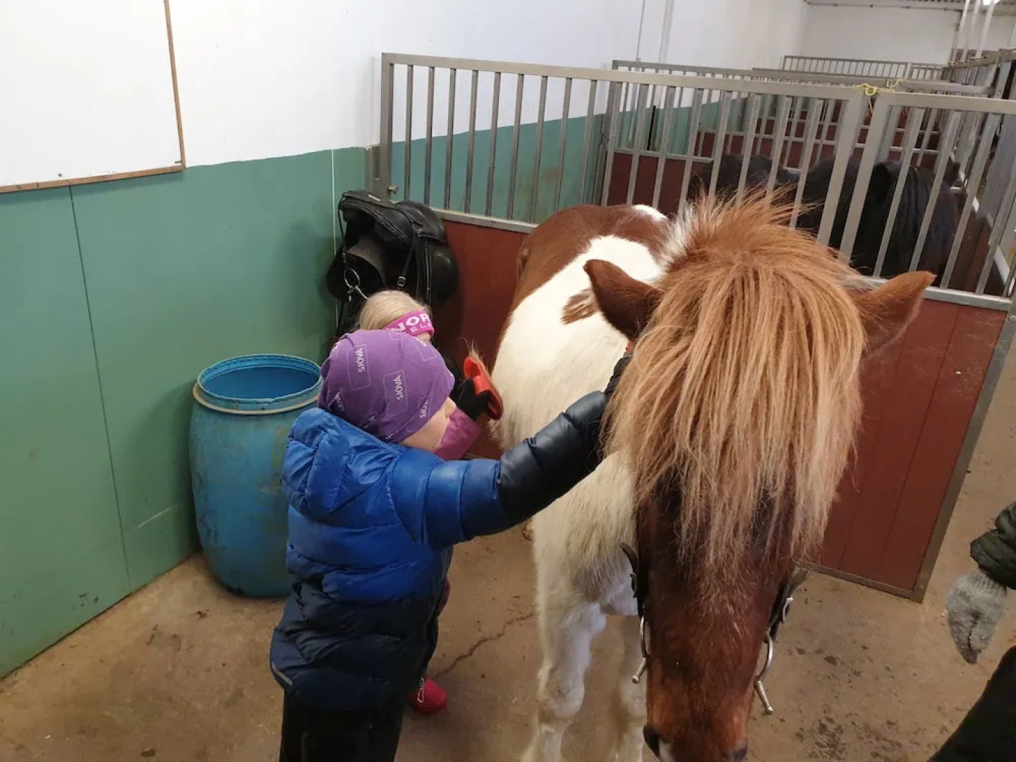 Puffin Palace Guesthouse