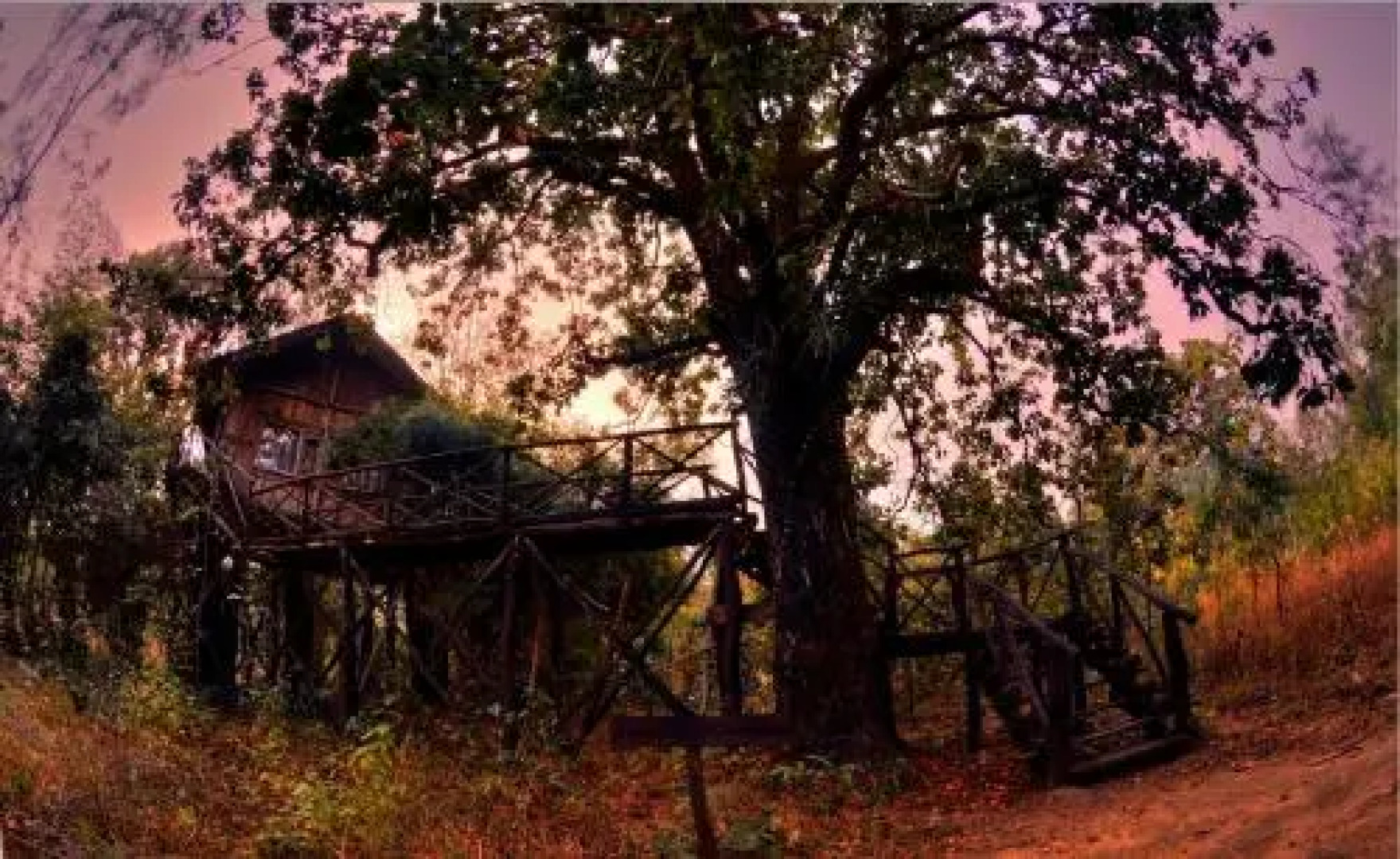 Tree House Hideway Bandhavgarh