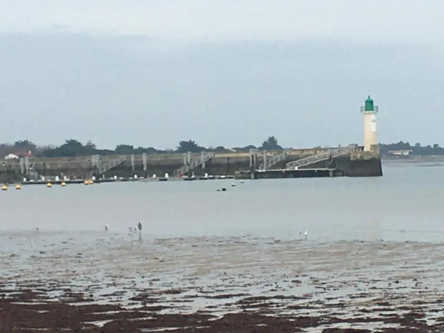 La Petite Maison sur lile de Ré