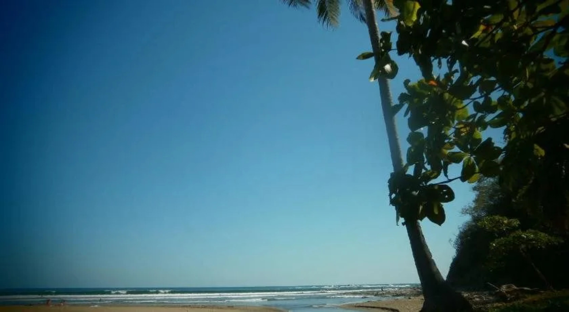 Paraiso del Cocodrilo