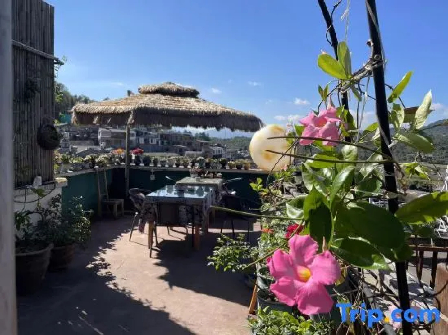 Floral Hotel·Our Yard Hotel（tengchong）