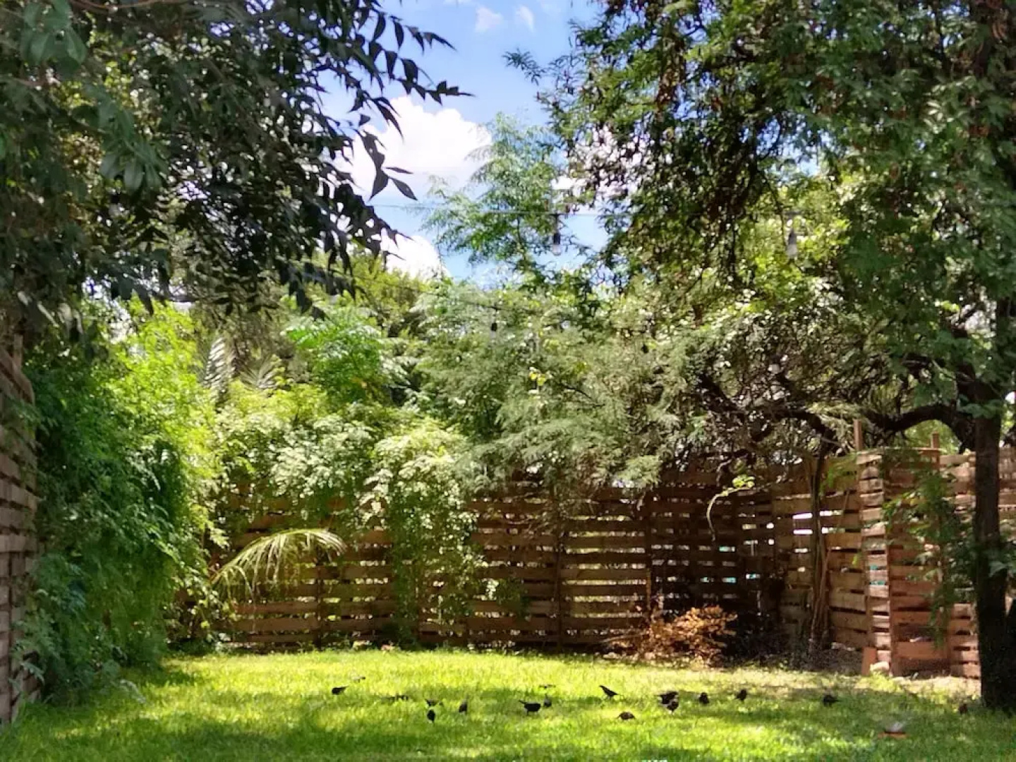 casa mango