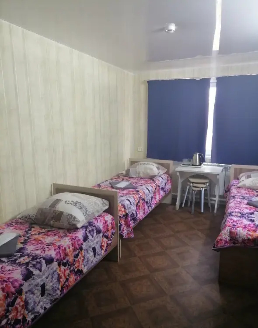 Полярная сова