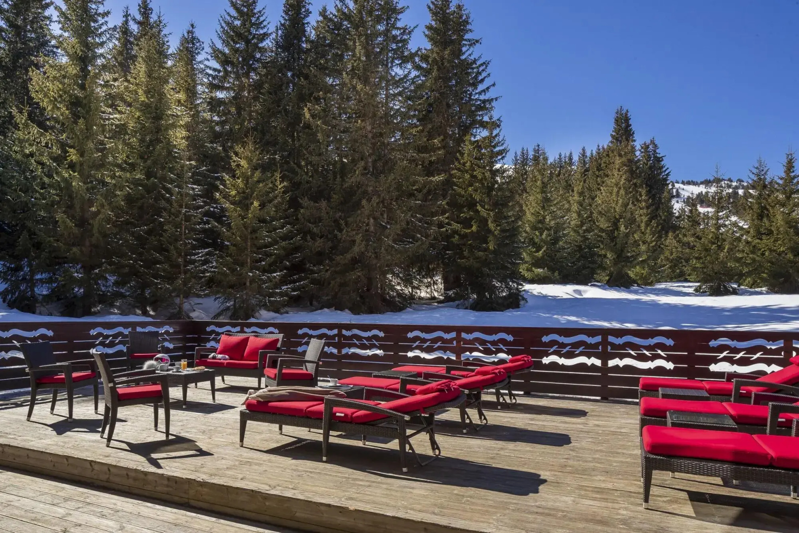 Hotel Le Palace des Neiges
