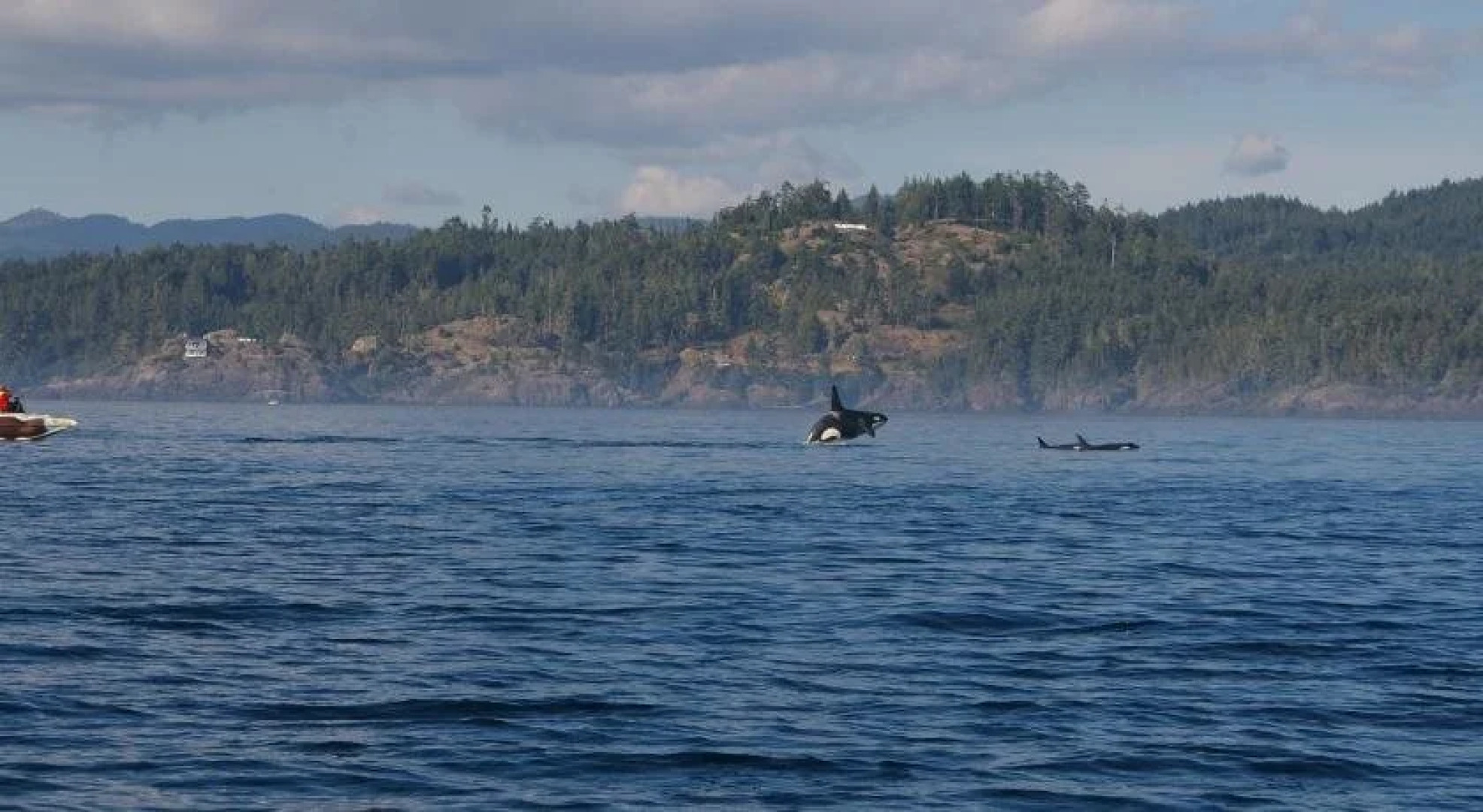 Salty Towers Oceanfront Cottages