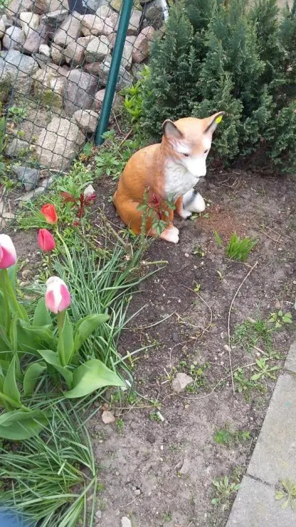 Apartments zum Brauergang