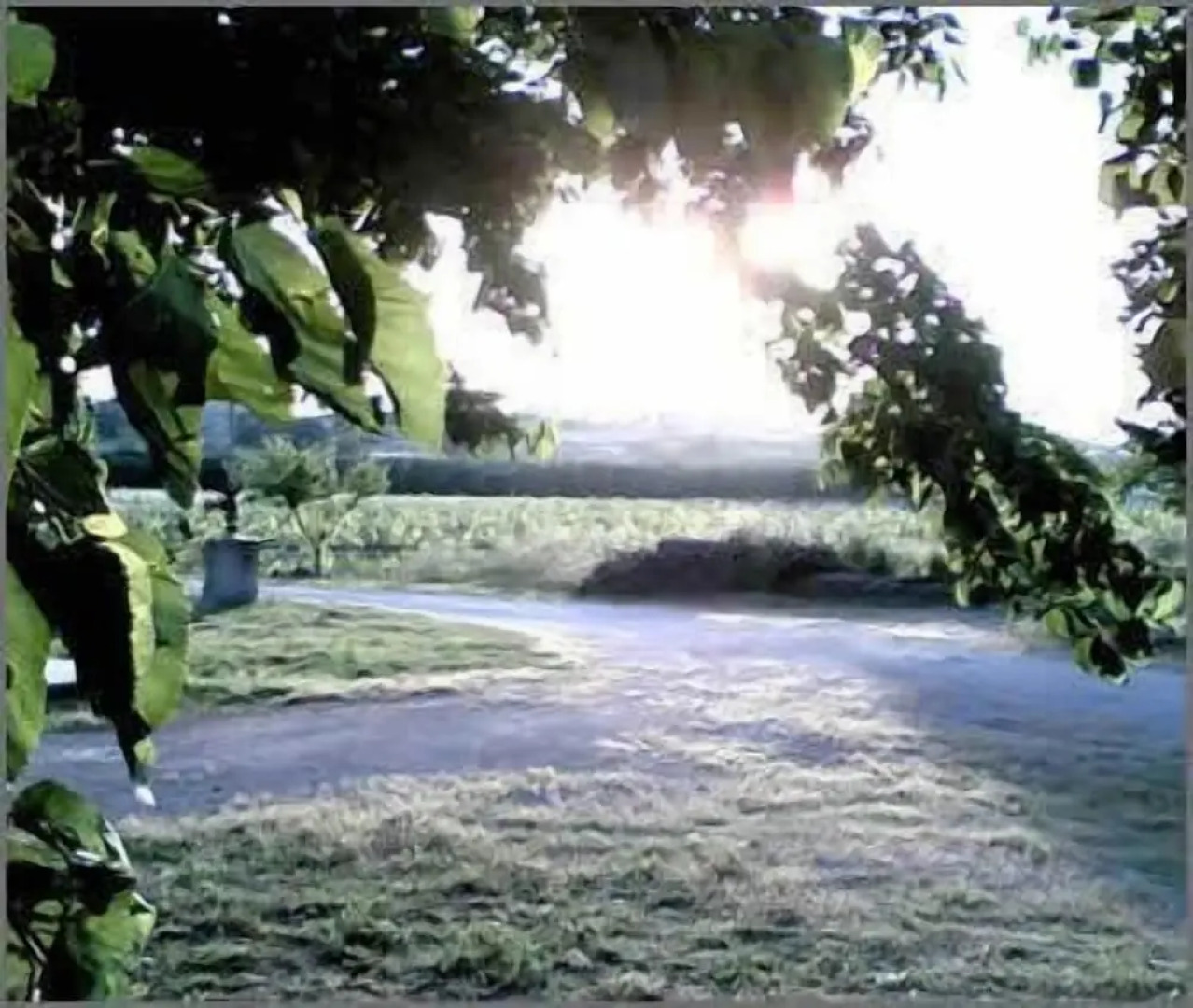Agriturismo La Natura