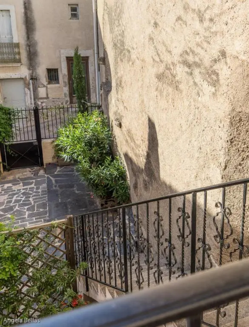 Comfortable Gite (3) in attractive Languedoc village