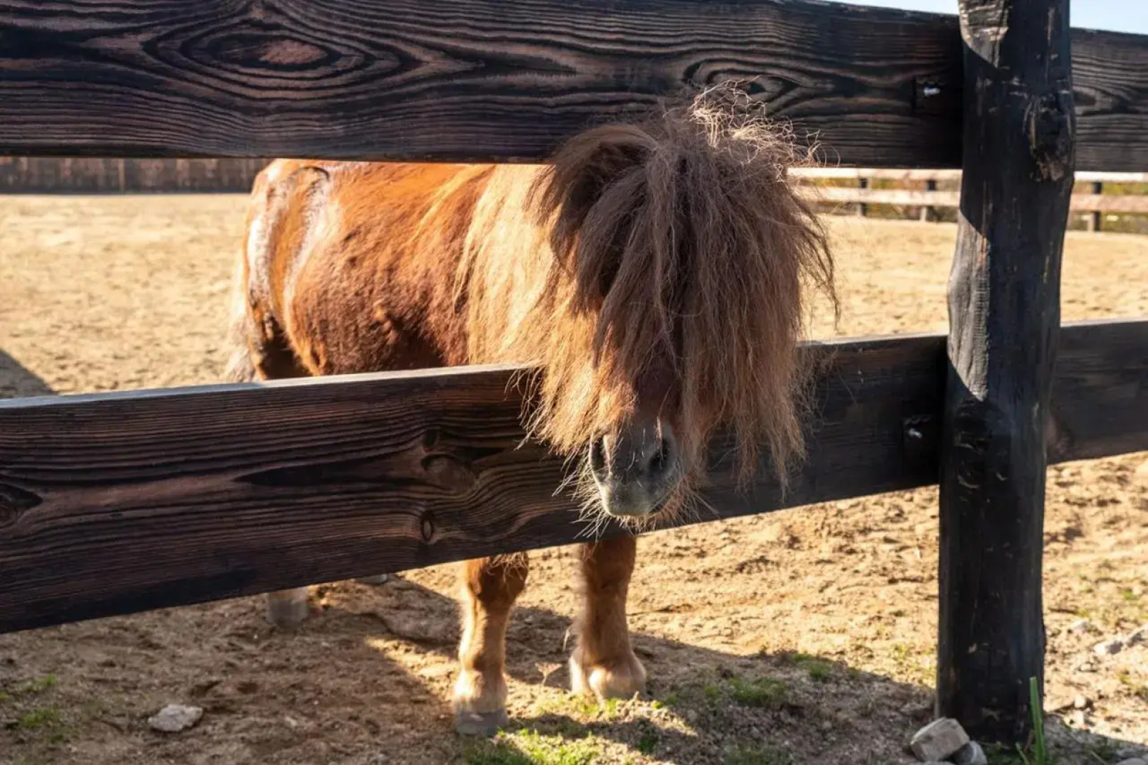 Potcoava Mountain Hideaway