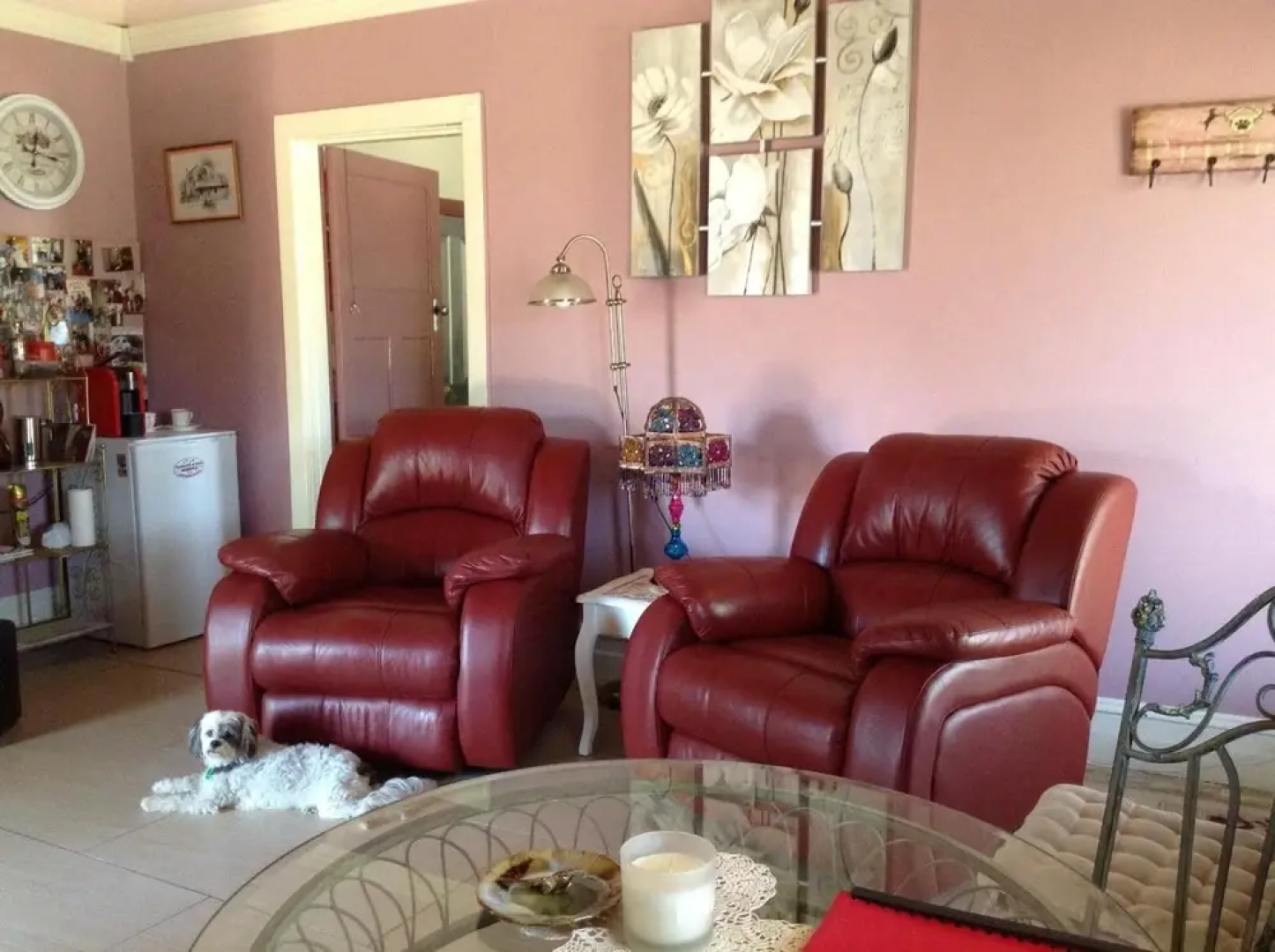 Must Love Dogs B&b