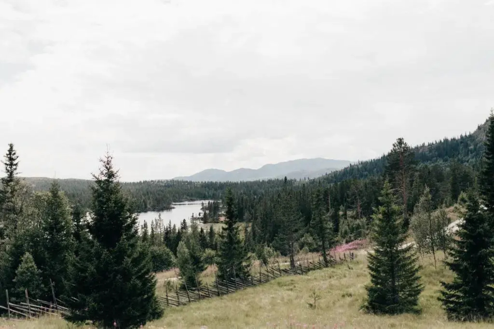 Tuddal Høyfjellshotel