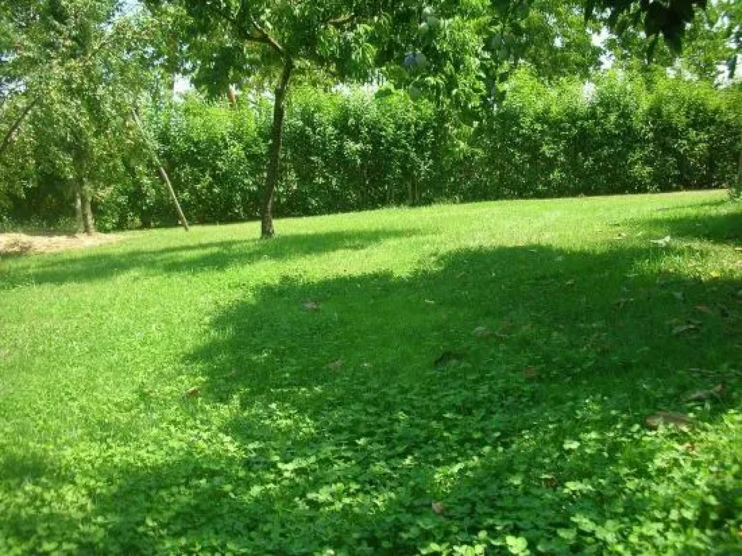 Affittacamere La Fornace