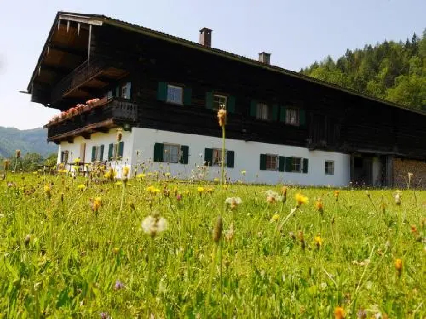 Bergbauernhof Trojer