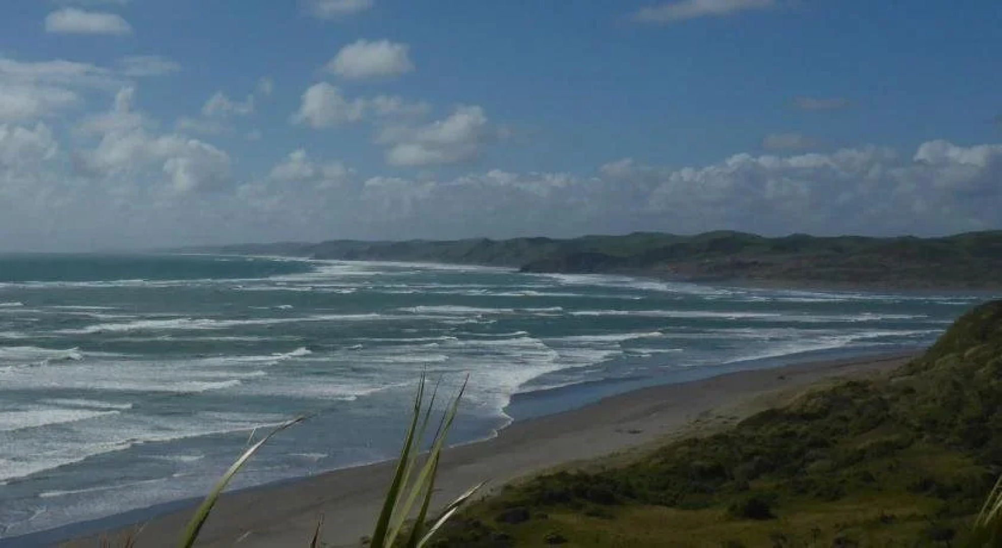 Ocean View Raglan Bed & Breakfast