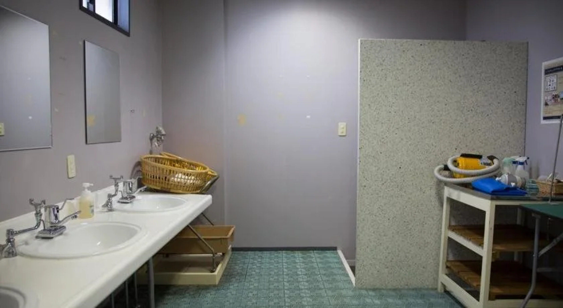 Pet to Tomaru Umibe No Hotel Caro Foresta Tateyama Diana