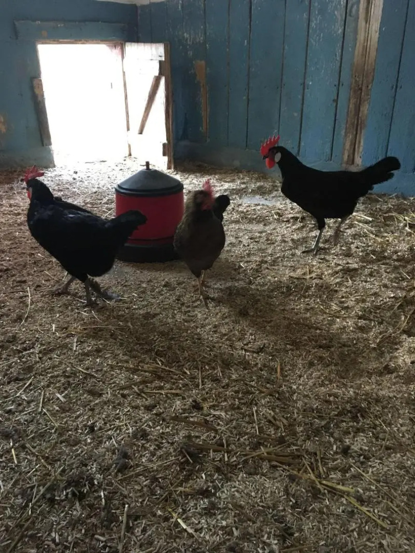 Brunsbo G:a Biskopsgård Hotell & Konferens