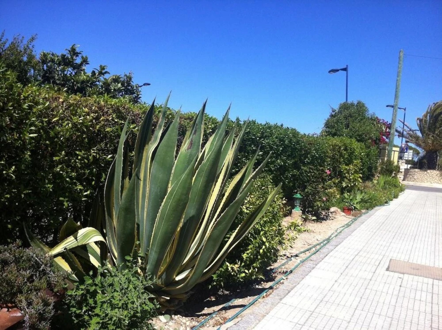 Apartment With 3 Bedrooms in Sagres, With Balcony and Wifi - 800 m From the Beach