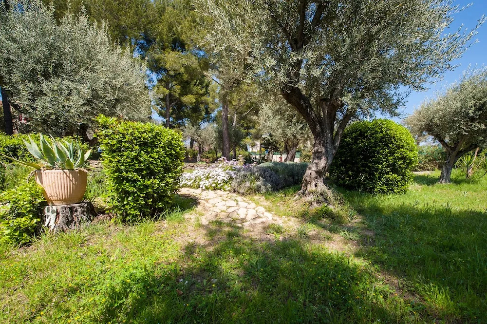 Appartement Cosy Saint-Cyr-sur-Mer