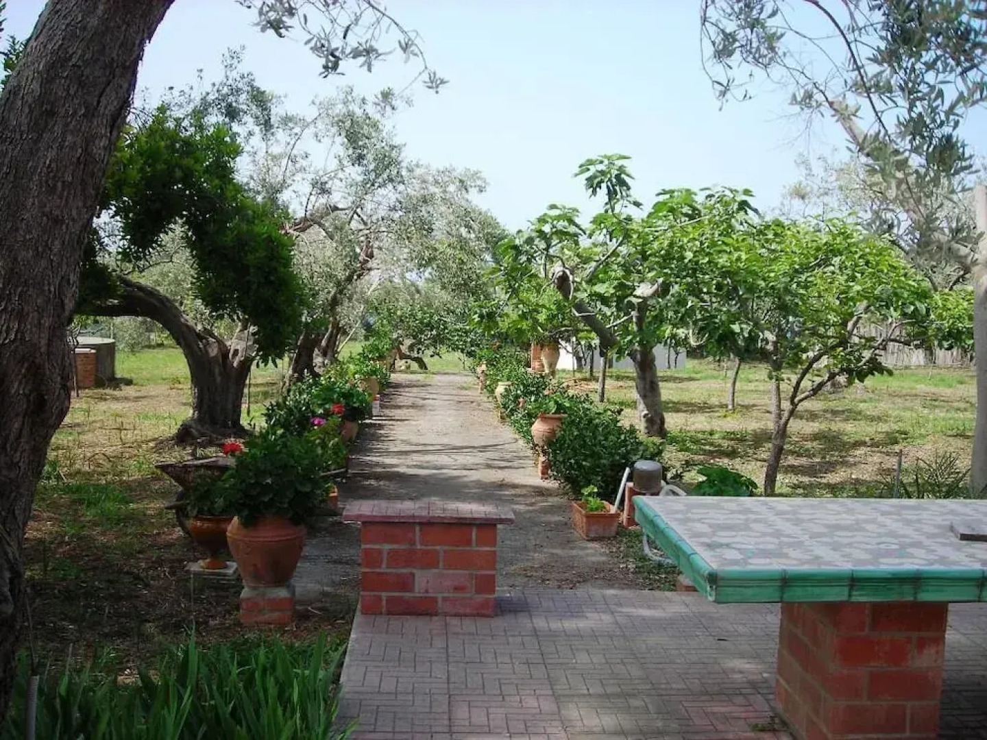 Il Giardino sul Mare