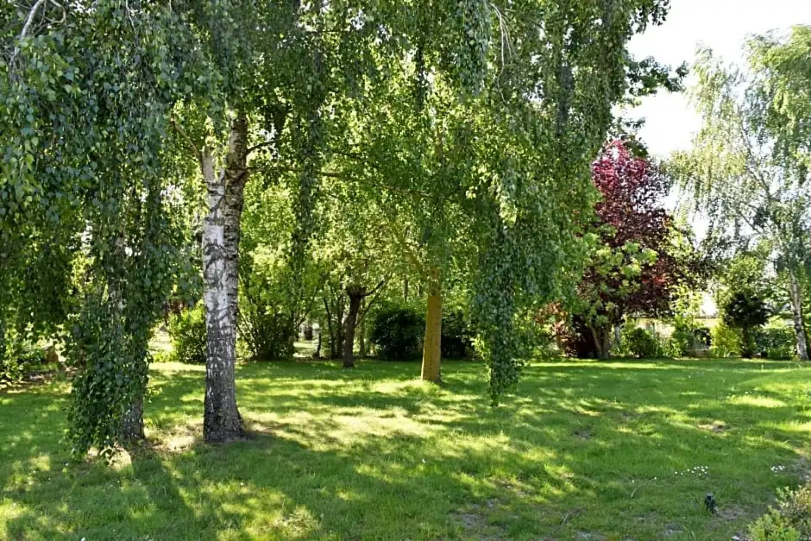 Chez Nathalie Techer