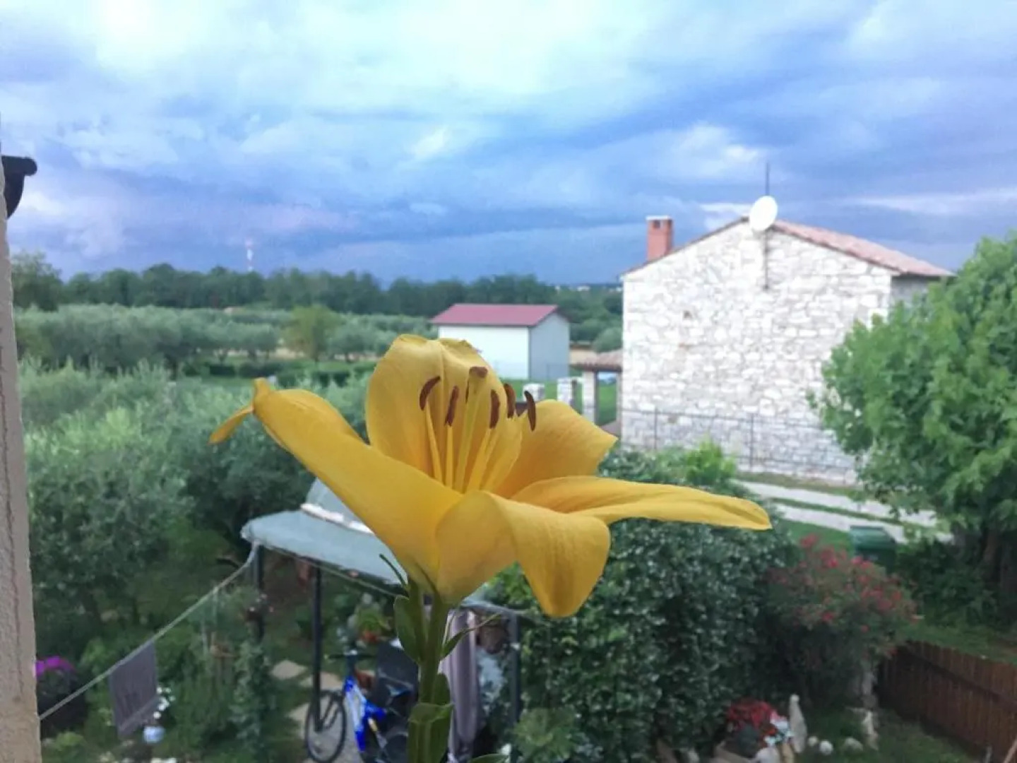 Appartment Hacienda Monica