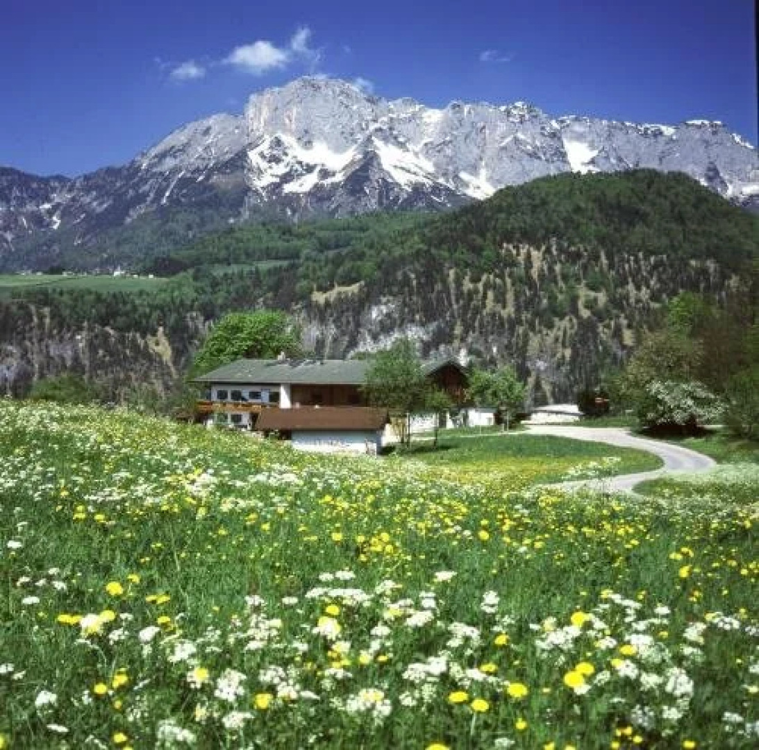 Bauernhof Steinlehen